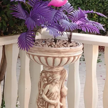 Flamingo ,private Pool & Sea View 빌라 아이아 나파