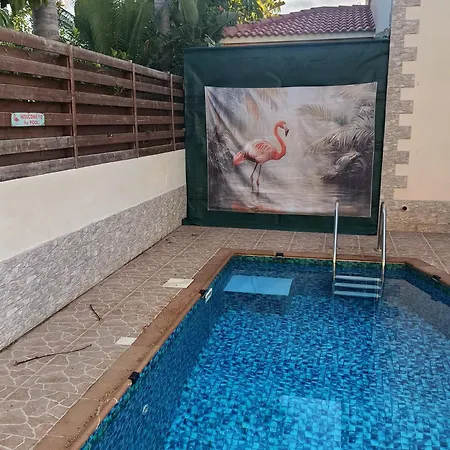 Вилла Flamingo ,private Pool & Sea View Айя-Напа